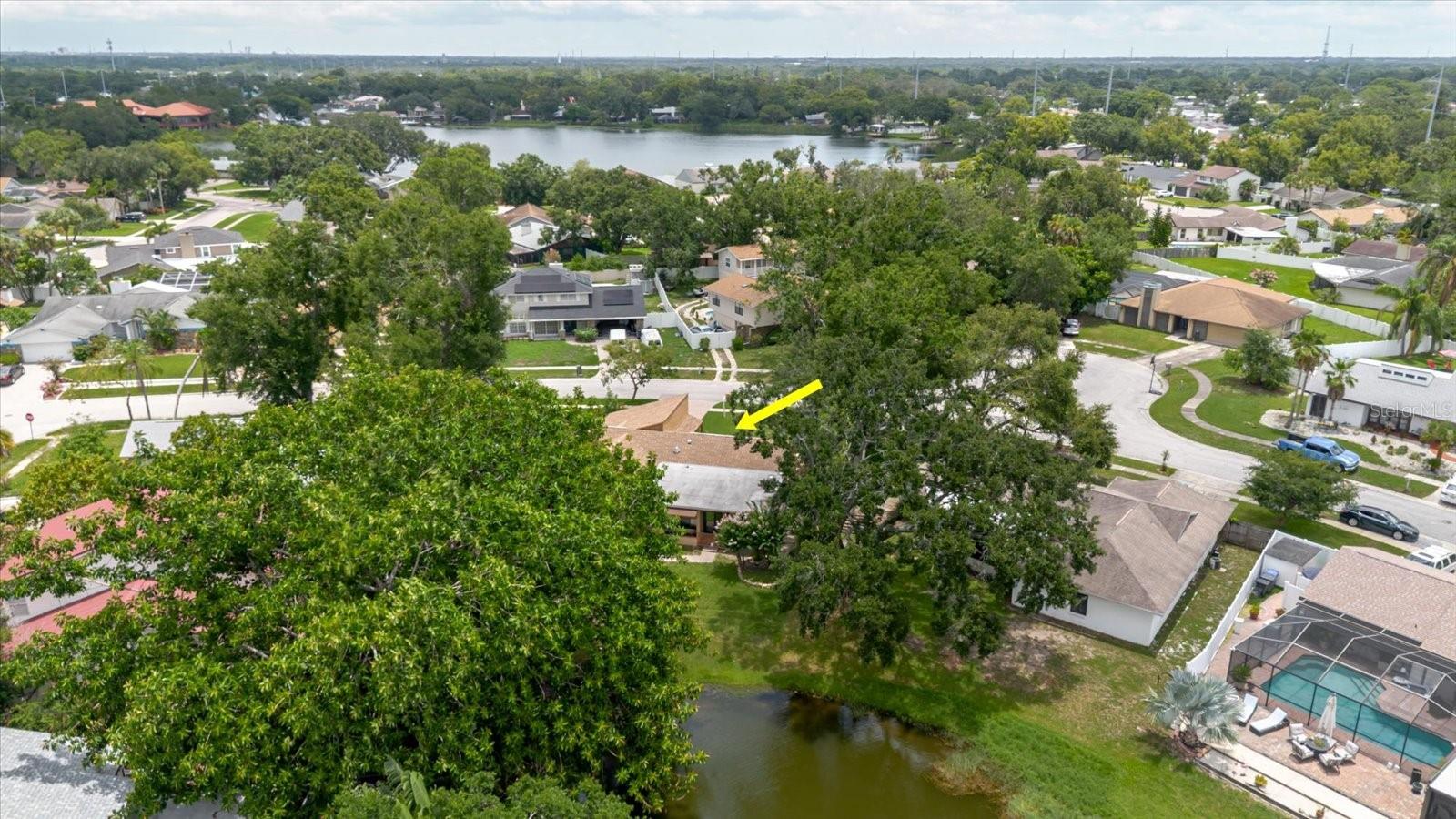 8222 LA SERENA DR, TAMPA, FL — photo 87