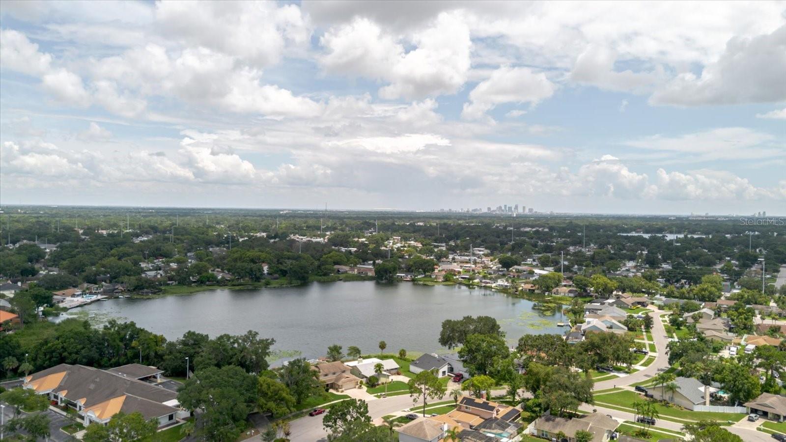 8222 LA SERENA DR, TAMPA, FL — photo 89