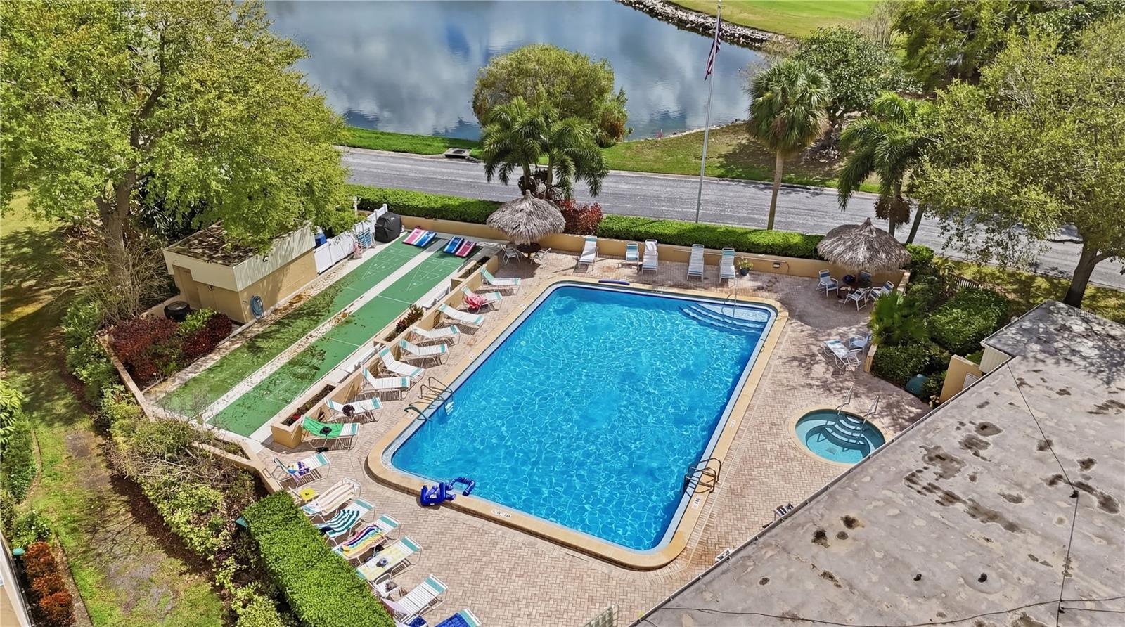 2616 COVE CAY DR #502, CLEARWATER, FL — photo 41