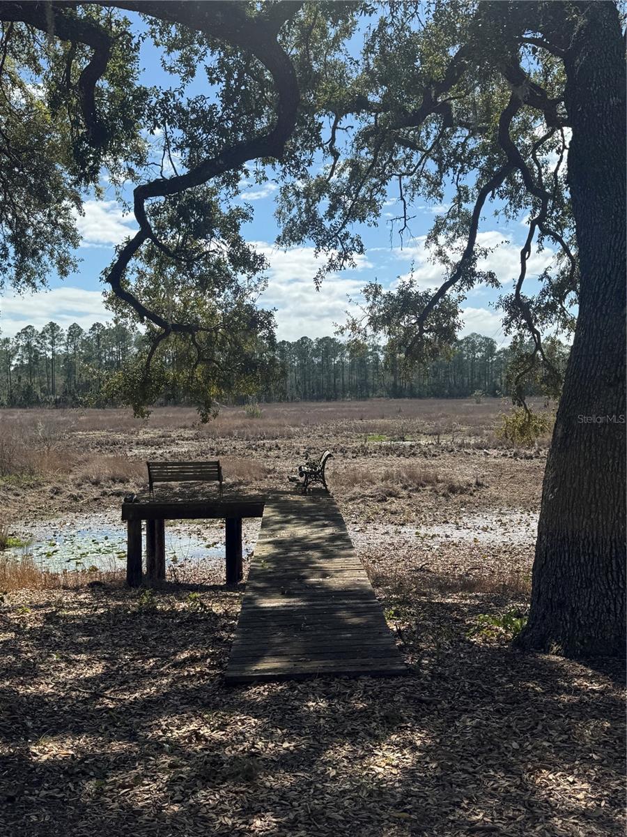 17645 NE 61ST STREET RD, SILVER SPRINGS, FL — photo 8