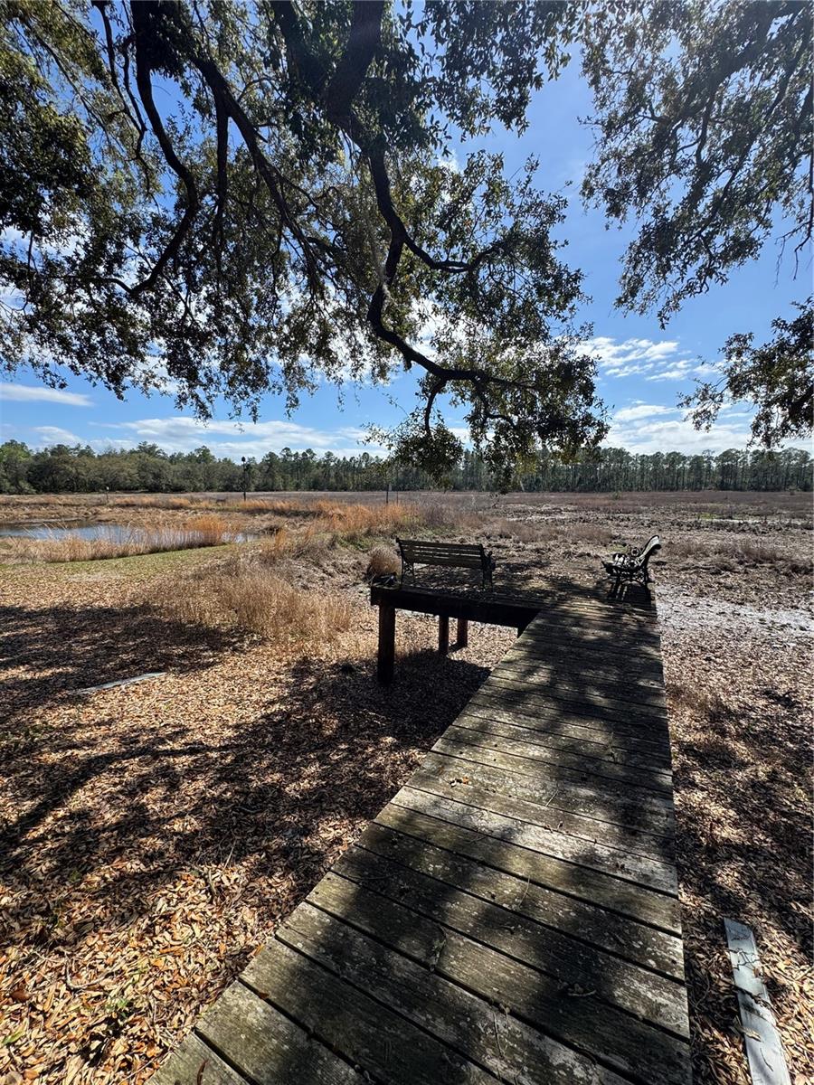 17645 NE 61ST STREET RD, SILVER SPRINGS, FL — photo 38