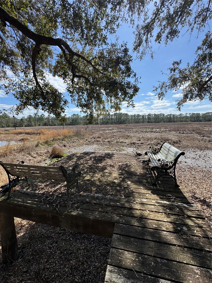 17645 NE 61ST STREET RD, SILVER SPRINGS, FL — photo 41