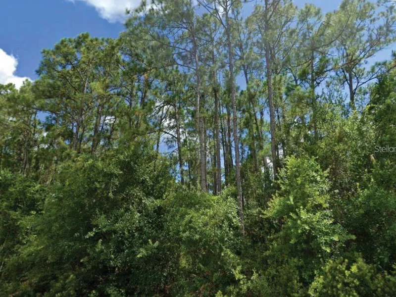 LANGSOM LN, NORTH PORT, FL