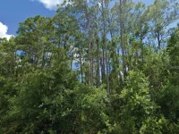 LANGSOM LN — photo 1