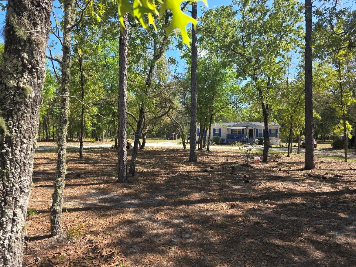 10630 NE 80TH ST, BRONSON, FL — photo 3