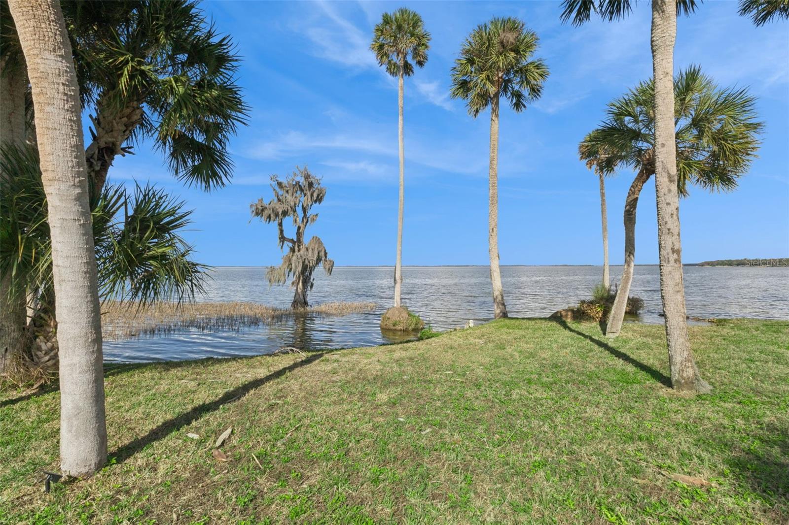 303 WATERWOOD DR, YALAHA, FL — photo 121