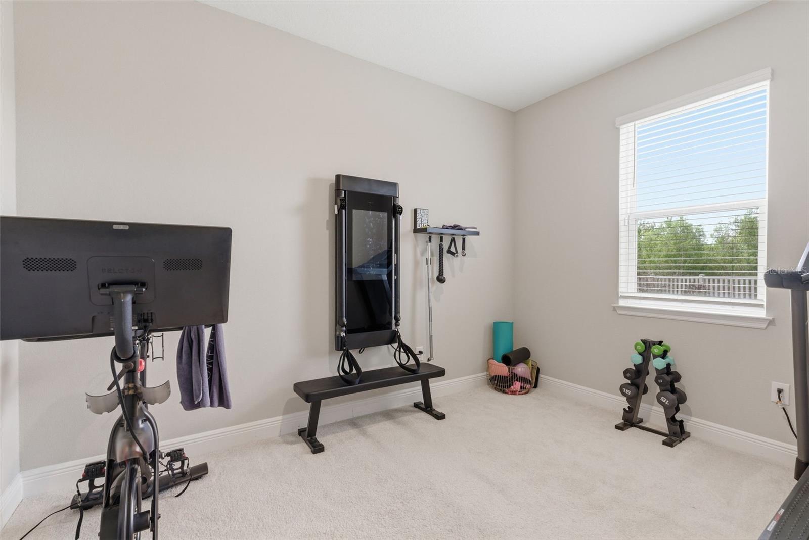 13530 PALMERA VISTA DR, RIVERVIEW, FL — photo 20
