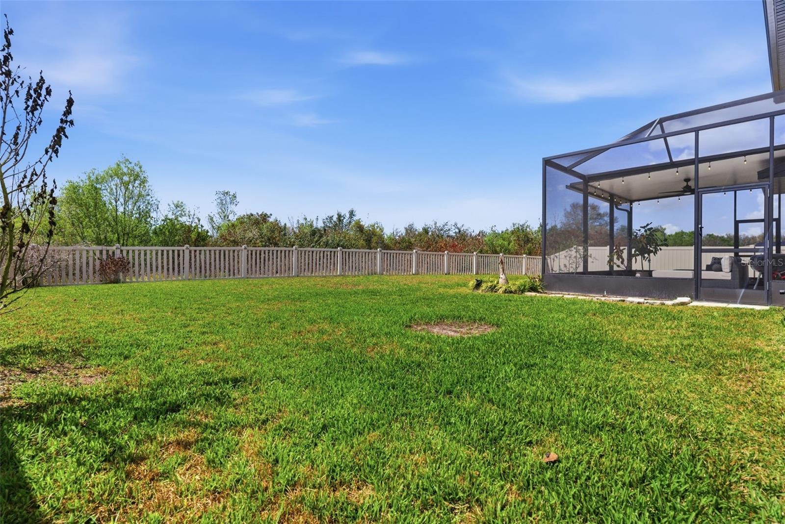 13530 PALMERA VISTA DR, RIVERVIEW, FL — photo 36