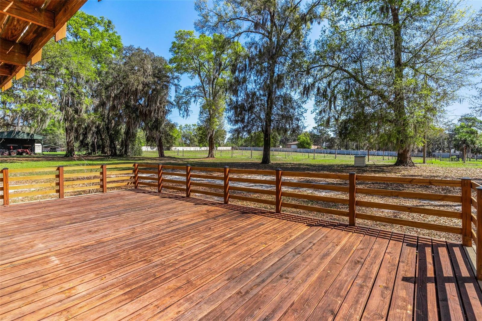 2917 LAKE GRIFFIN RD, LADY LAKE, FL — photo 17