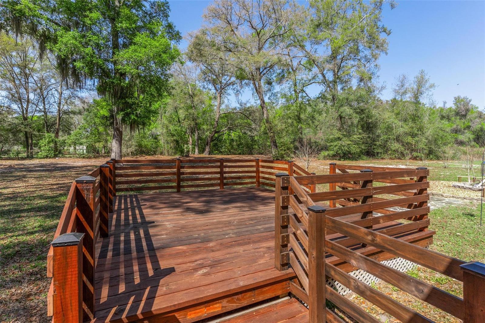 2917 LAKE GRIFFIN RD, LADY LAKE, FL — photo 81