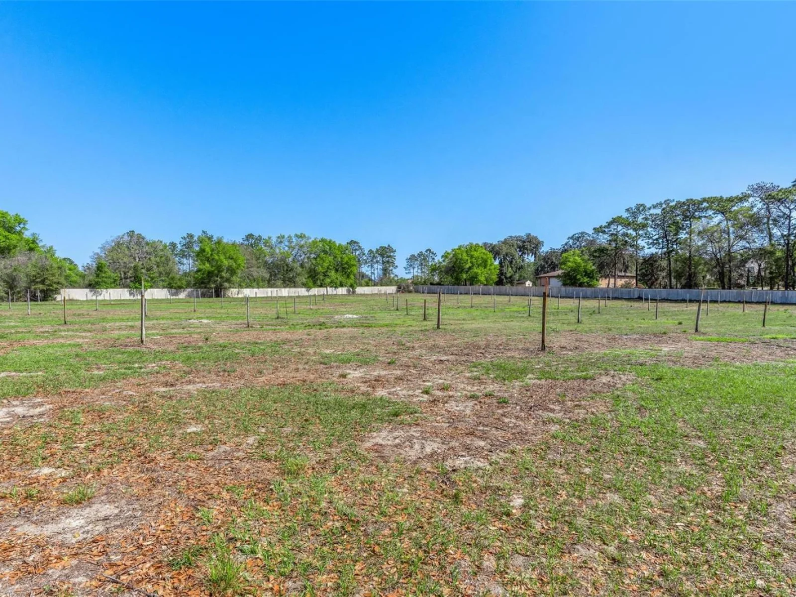 2917 LAKE GRIFFIN RD, LADY LAKE, FL — photo 102