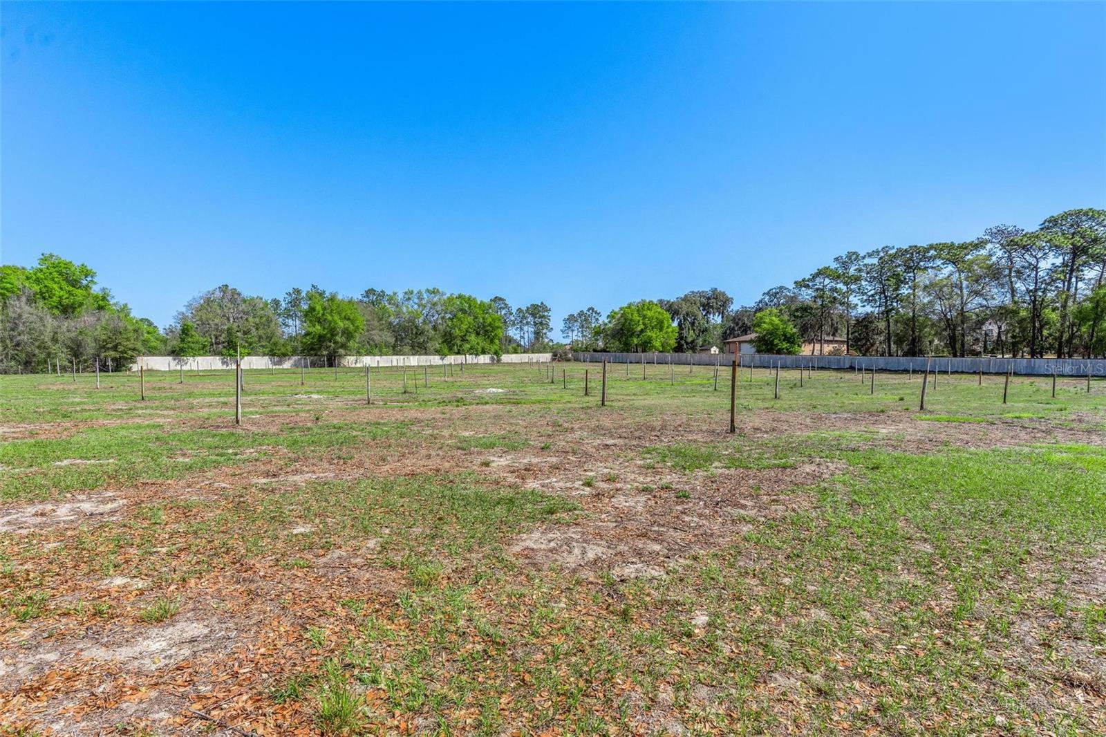 2917 LAKE GRIFFIN RD, LADY LAKE, FL — photo 101