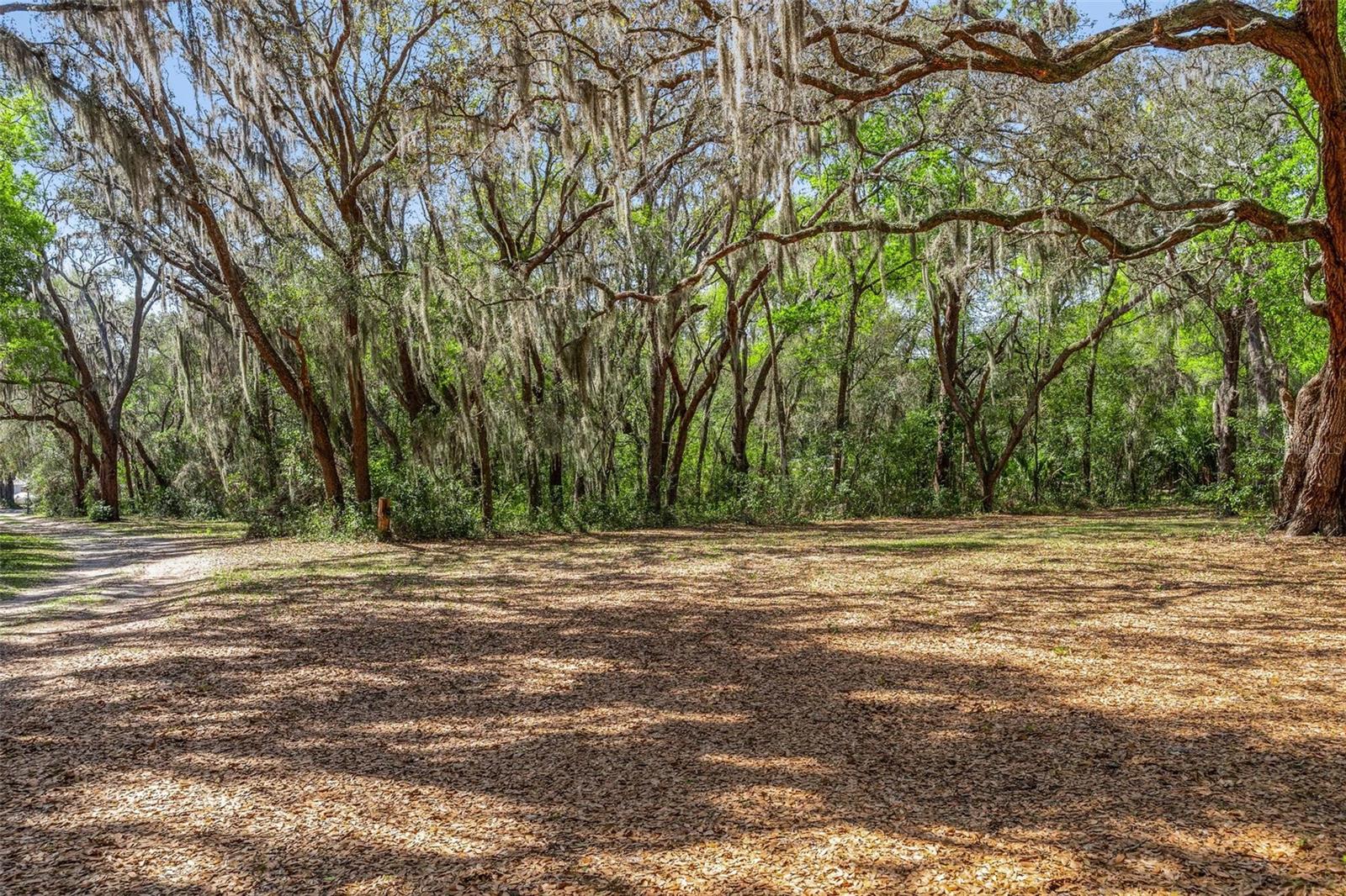 2917 LAKE GRIFFIN RD, LADY LAKE, FL — photo 9