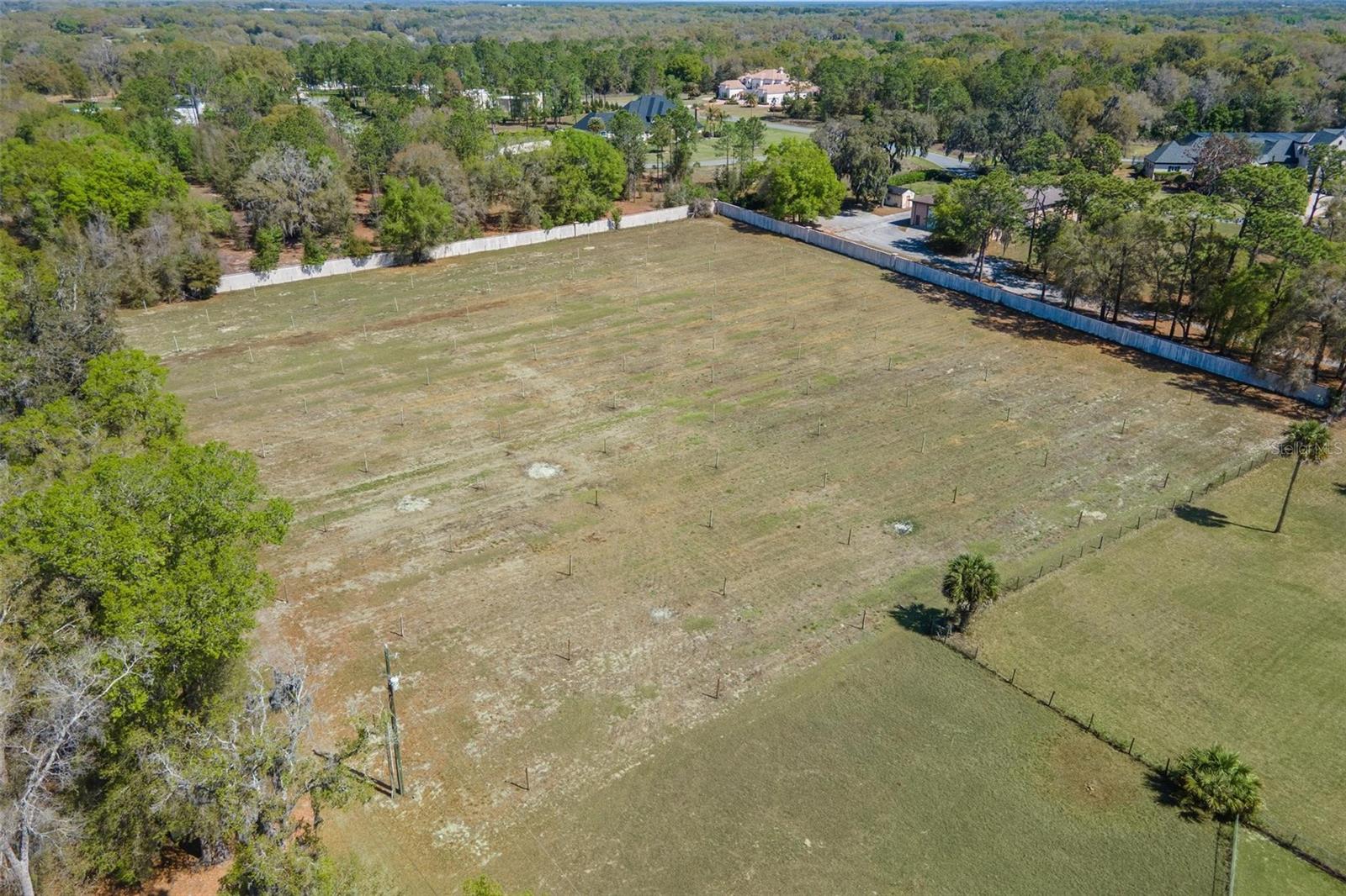2917 LAKE GRIFFIN RD, LADY LAKE, FL — photo 114