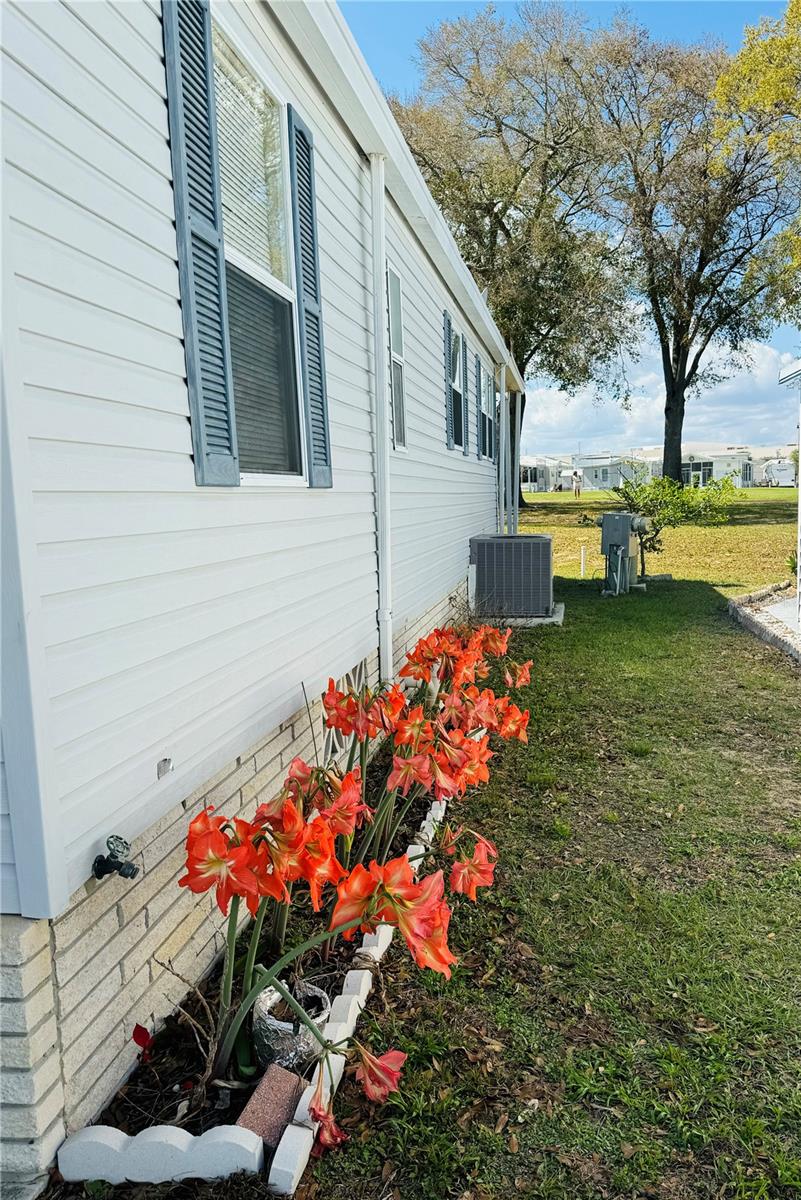 627 ARNOLD PALMER DR, DAVENPORT, FL — photo 8