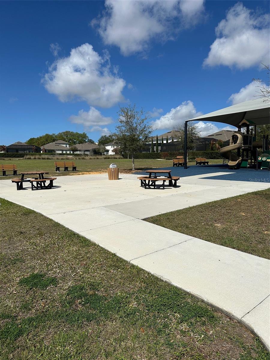 5679 ORANGE ORCHARD DR, WINTER GARDEN, FL — photo 49