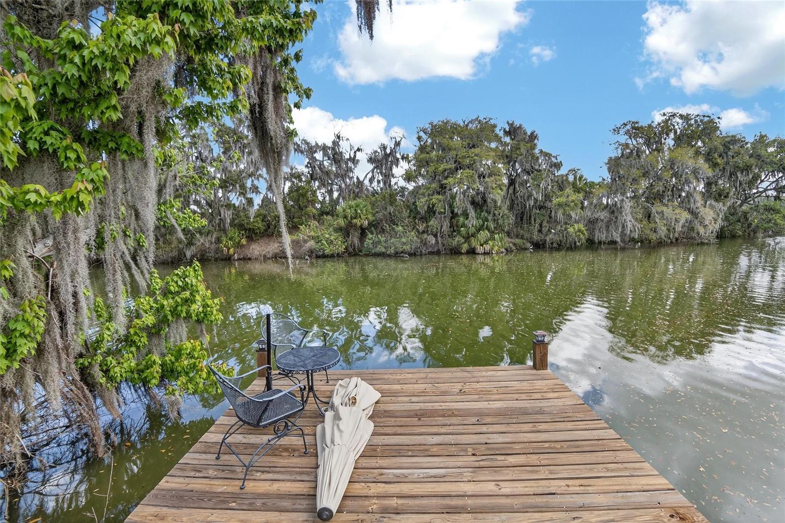 6870 SHIMMERING DR, LAKELAND, FL — photo 54