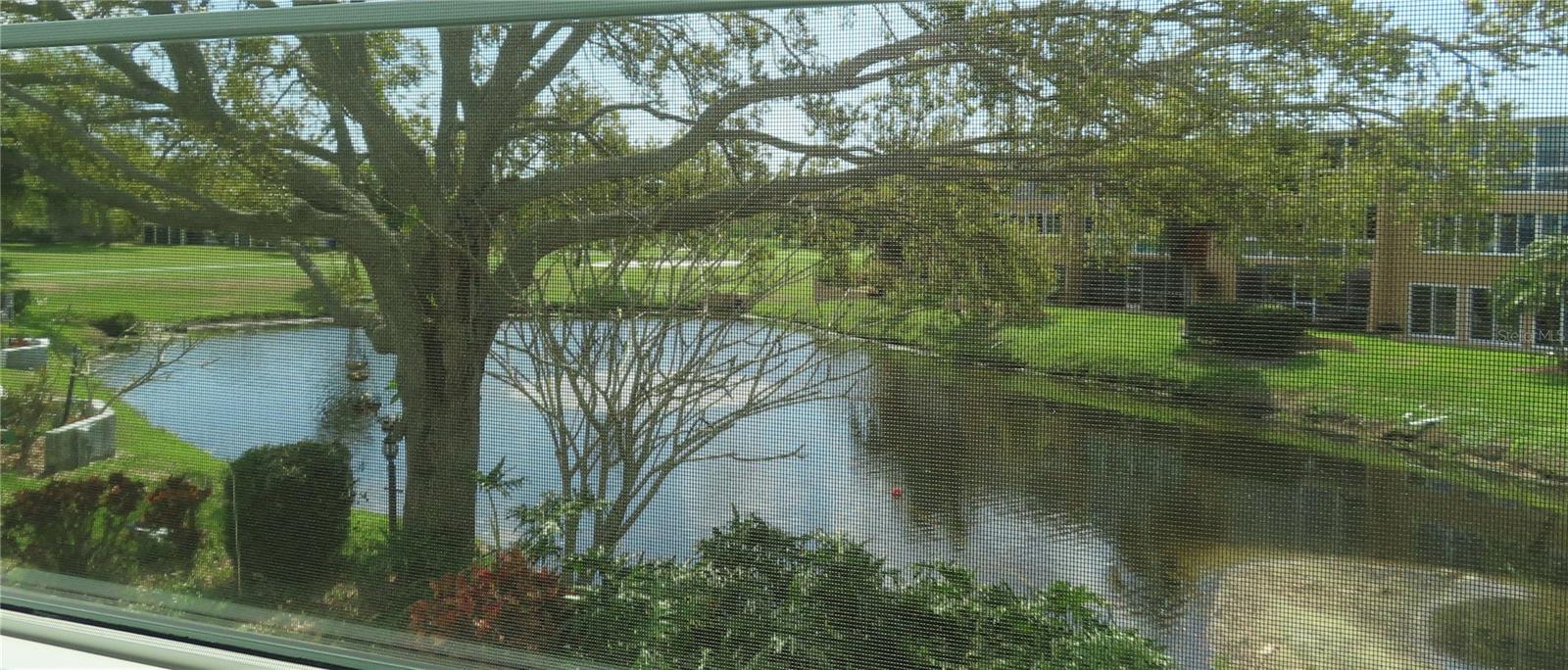 225 COUNTRY CLUB DR #C225, LARGO, FL