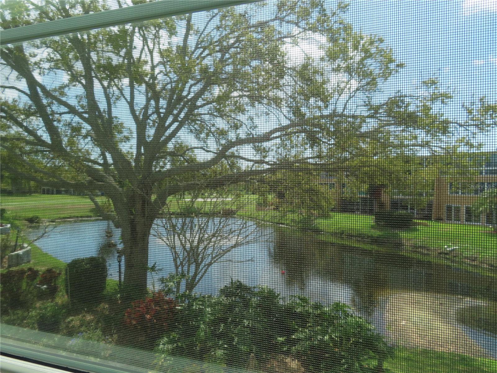 225 COUNTRY CLUB DR #C225, LARGO, FL — photo 3