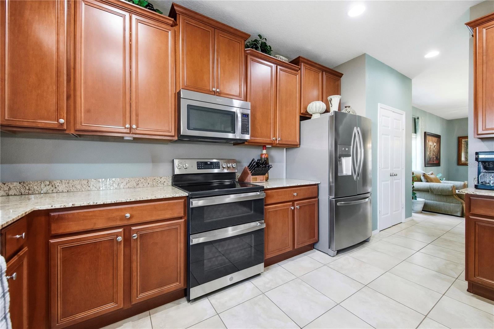 30106 CHEVAL ST, MOUNT DORA, FL — photo 29