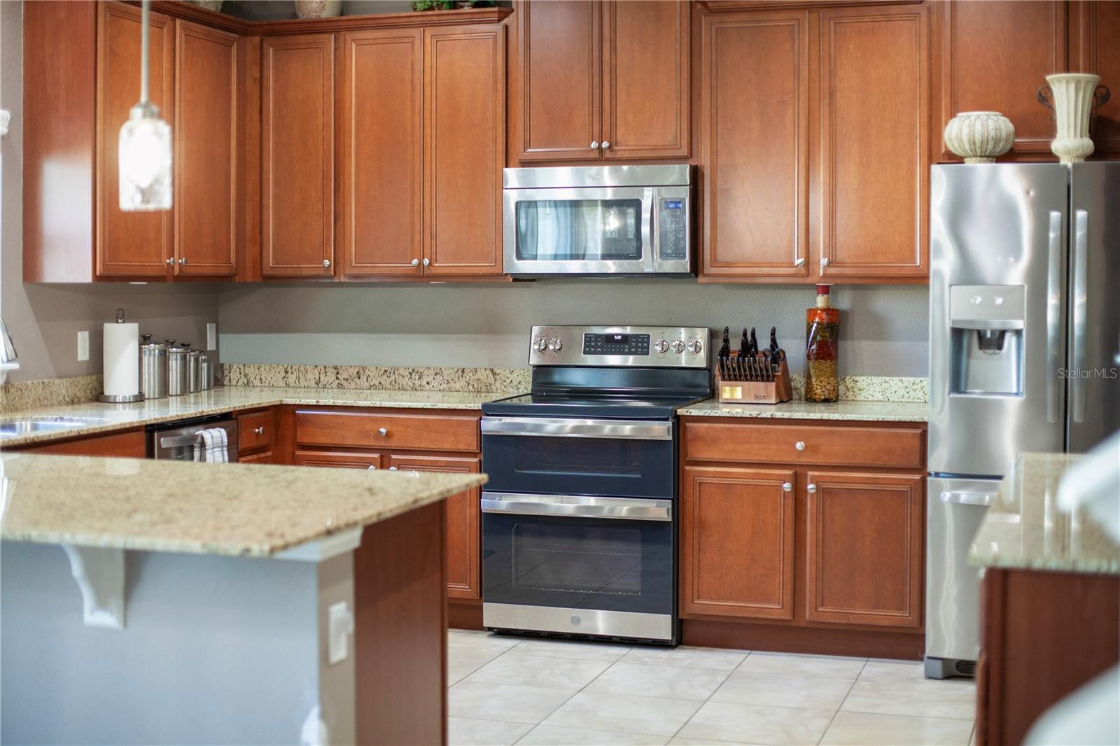 30106 CHEVAL ST, MOUNT DORA, FL — photo 31