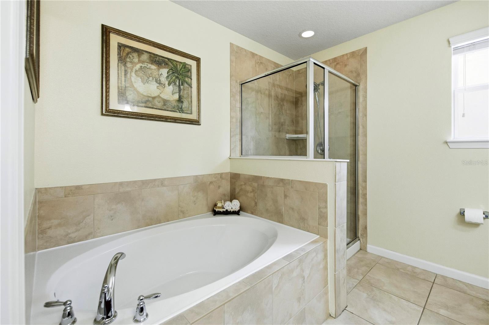 30106 CHEVAL ST, MOUNT DORA, FL — photo 84