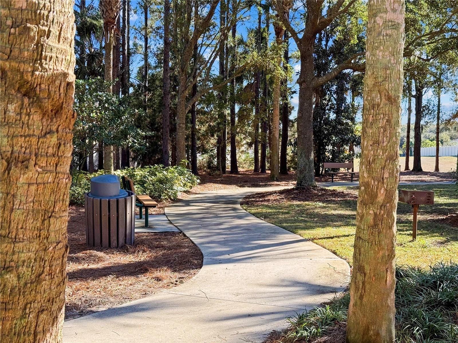30106 CHEVAL ST, MOUNT DORA, FL — photo 136