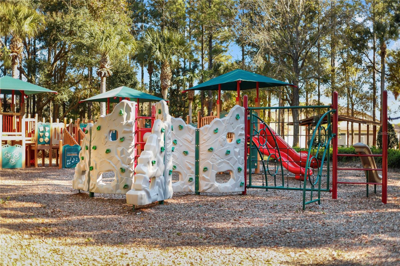 30106 CHEVAL ST, MOUNT DORA, FL — photo 138