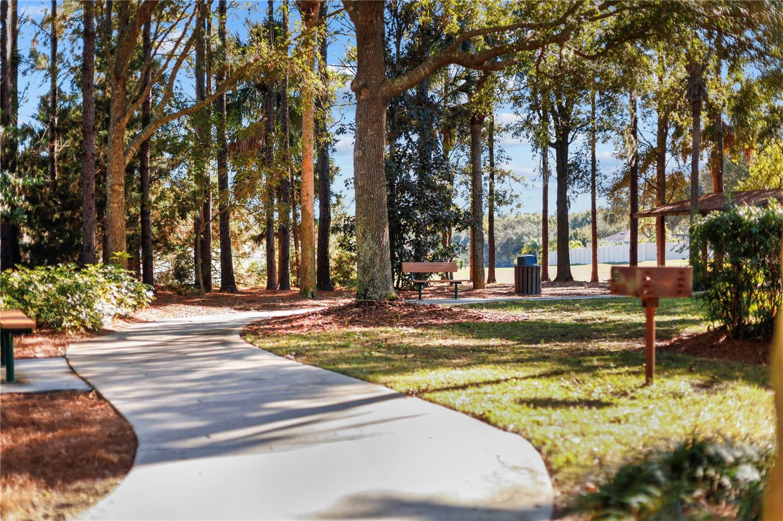 30106 CHEVAL ST, MOUNT DORA, FL — photo 140