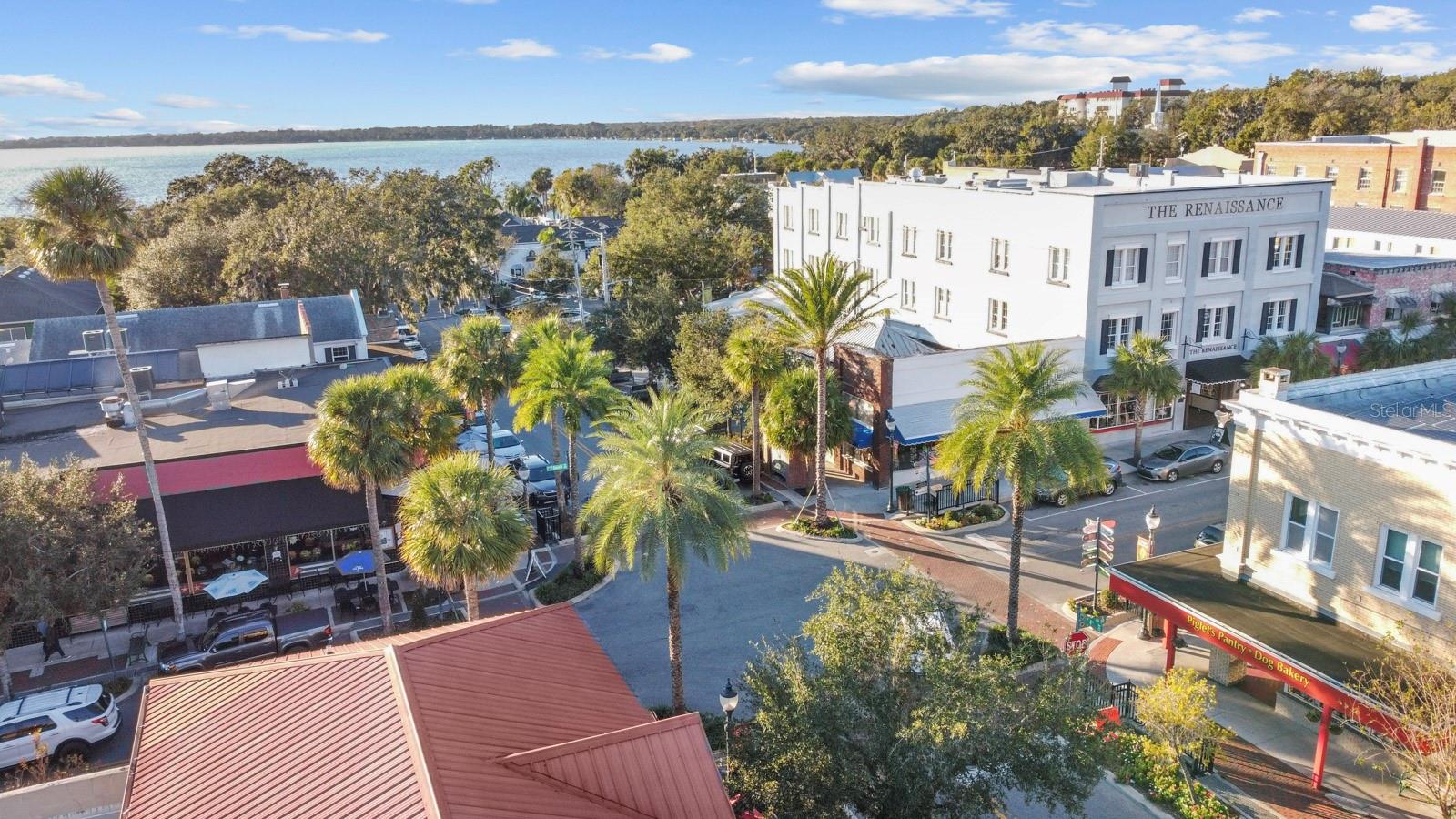 30106 CHEVAL ST, MOUNT DORA, FL — photo 148
