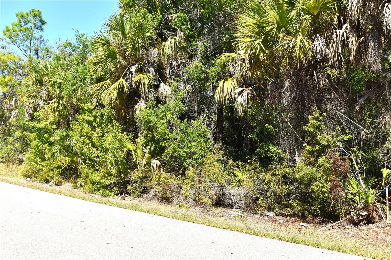 13358 DRUMMOND AVE, PORT CHARLOTTE, FL — photo 2