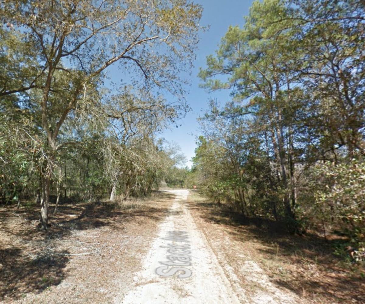 112 STACK AVENUE, INTERLACHEN, FL — photo 10