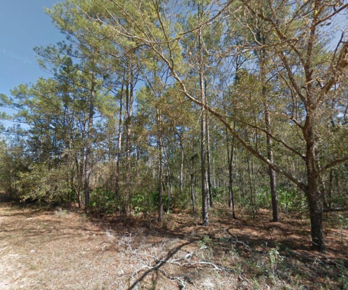 112 STACK AVENUE, INTERLACHEN, FL — photo 11
