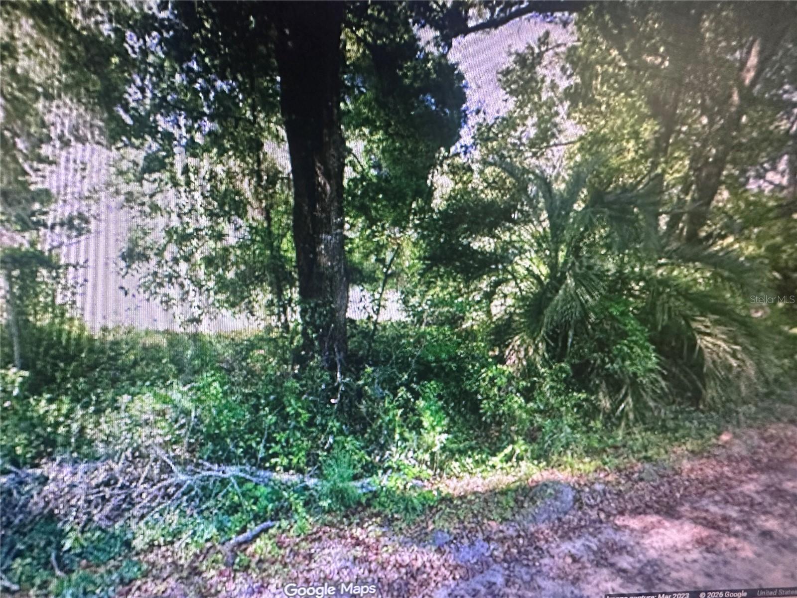 4289 SE 20TH ST, TRENTON, FL — photo 3