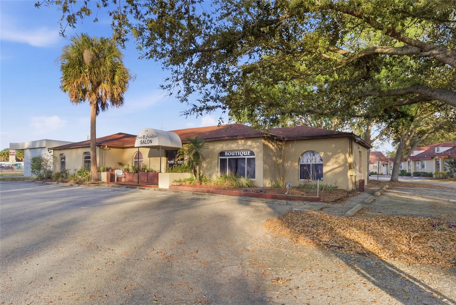 9729 N ARMENIA AVE, TAMPA, FL — photo 3