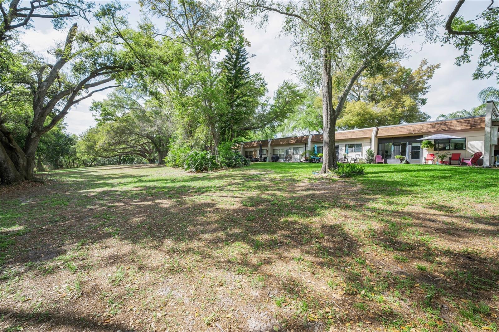 1175 MISSION CIR #1175, CLEARWATER, FL — photo 21