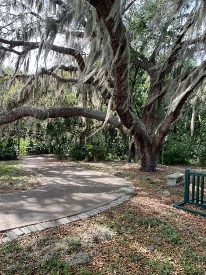 26903 HONEYMOON AVE, LEESBURG, FL — photo 90