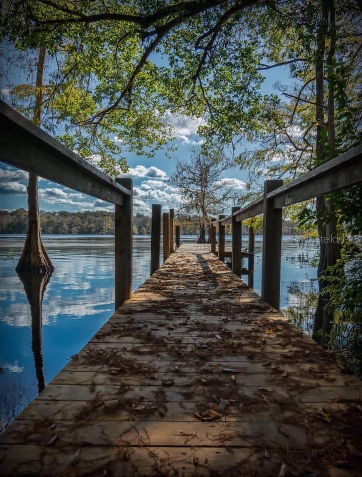 39641 ROYAL TRAILS RD, EUSTIS, FL — photo 111