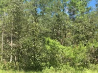 45TH TERRACE RD — photo 1