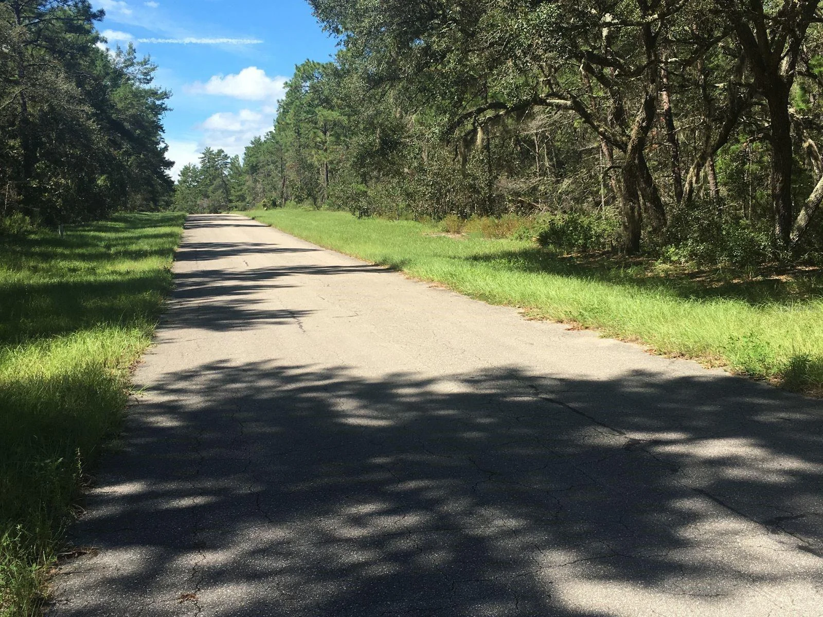 45TH TERRACE RD, OCALA, FL — photo 4