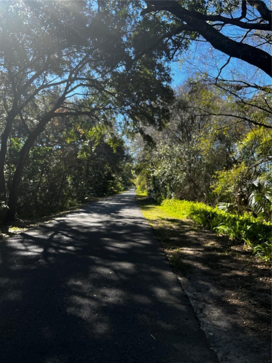 110 SKYTRAIL, TAMPA, FL — photo 5