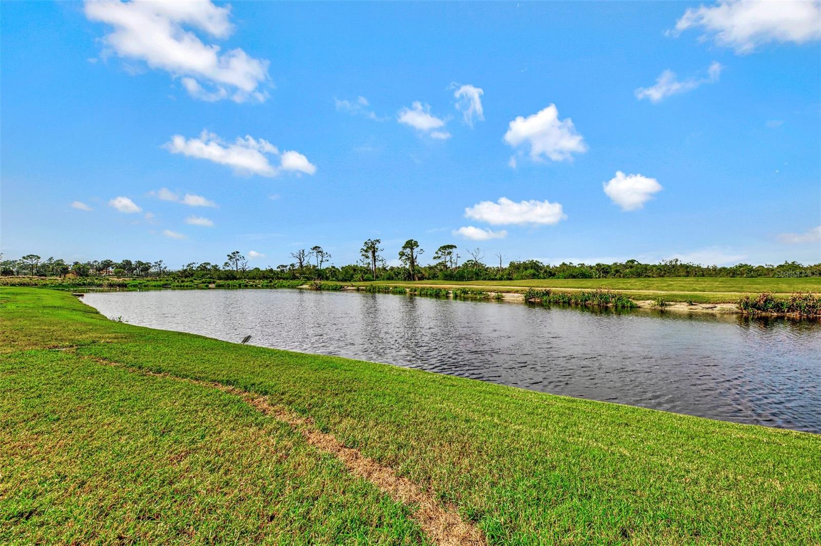 1151 CREEK NINE DR, NORTH PORT, FL — photo 55