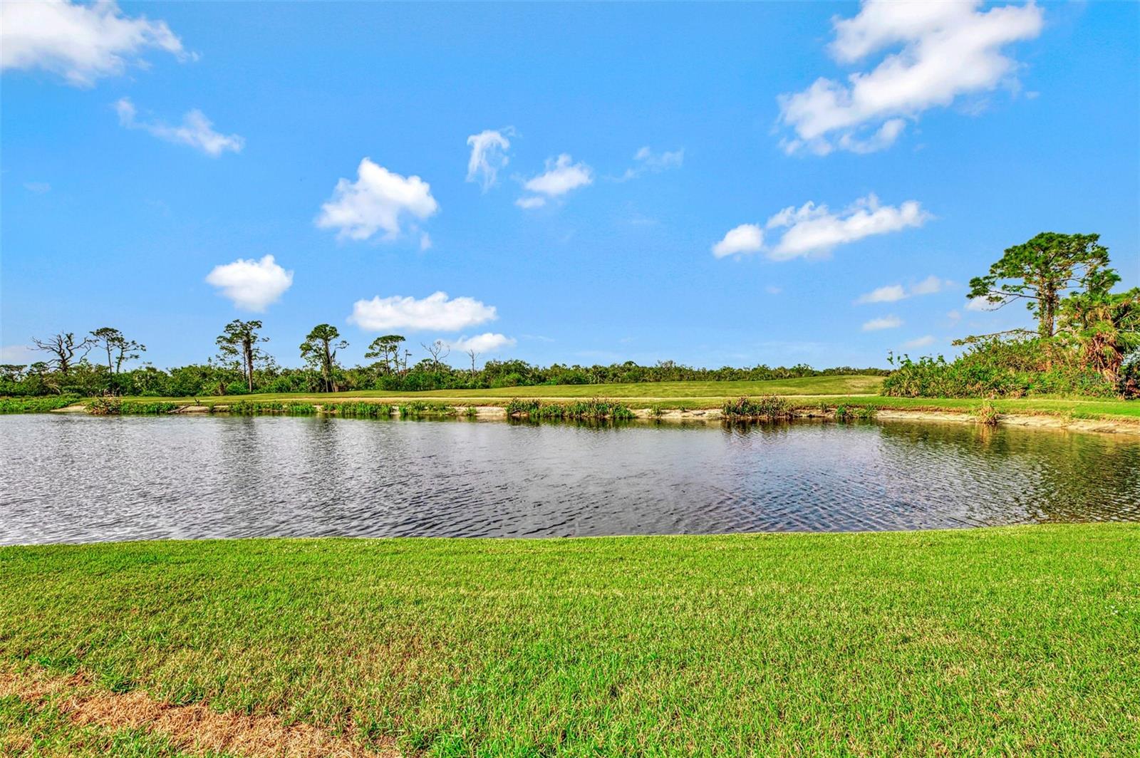 1151 CREEK NINE DR, NORTH PORT, FL — photo 56