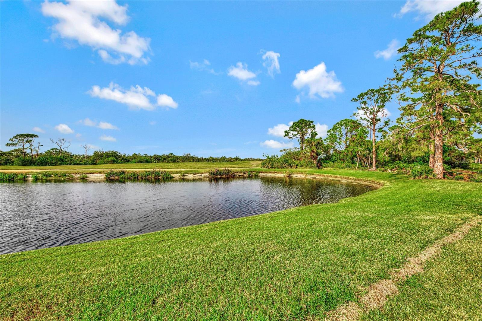 1151 CREEK NINE DR, NORTH PORT, FL — photo 57
