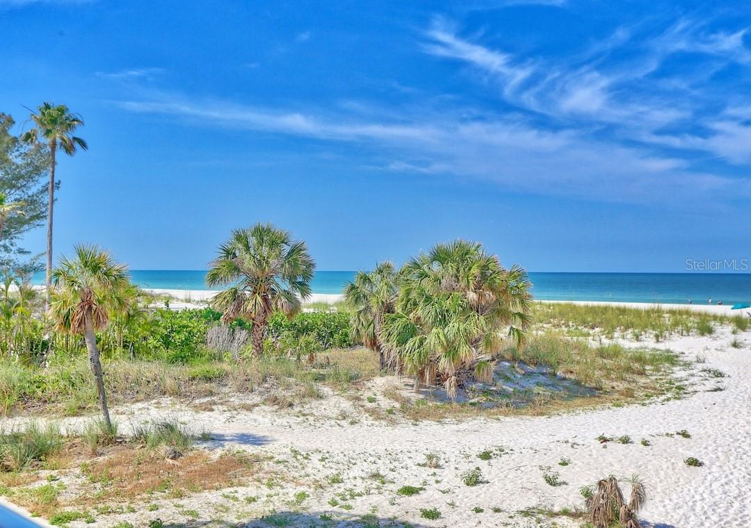 10116 GULF BLVD #203W, TREASURE ISLAND, FL — photo 39