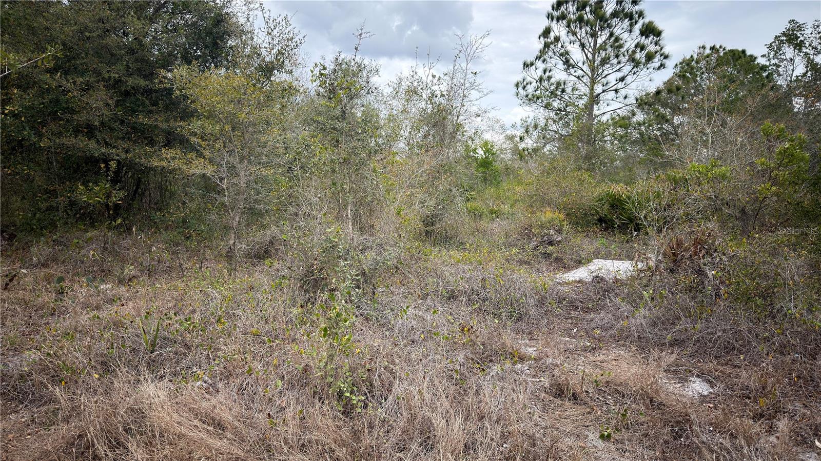 336 PERSHING AVE, LAKE PLACID, FL — photo 2