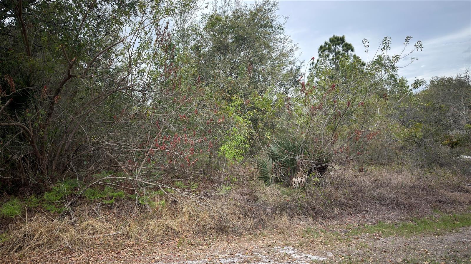 336 PERSHING AVE, LAKE PLACID, FL — photo 3