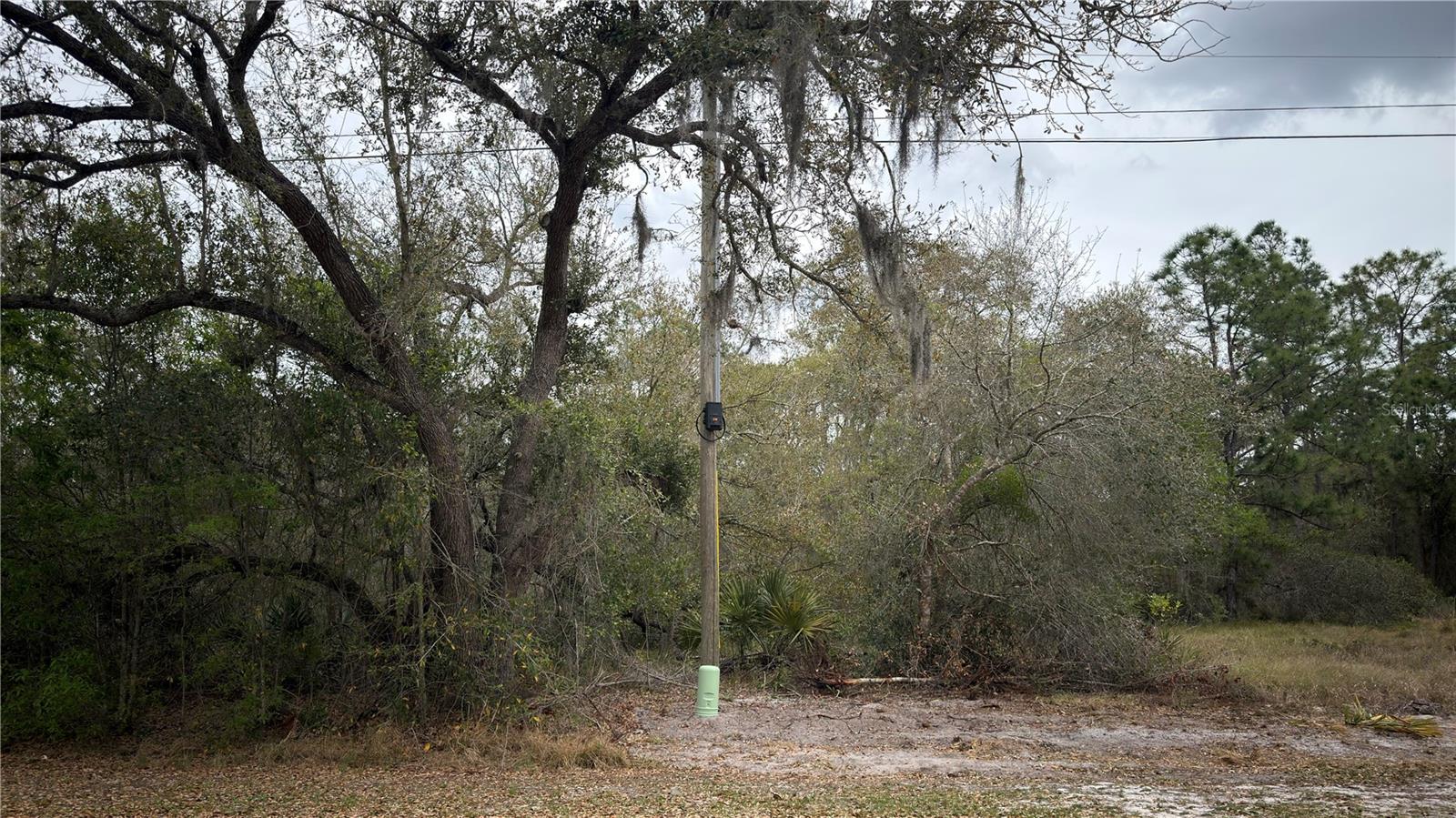 336 PERSHING AVE, LAKE PLACID, FL — photo 4