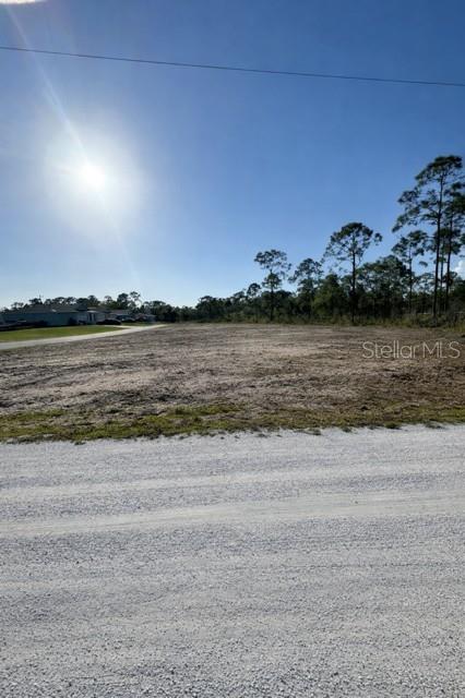 12359 LOS OLAS DR, PUNTA GORDA, FL — photo 5
