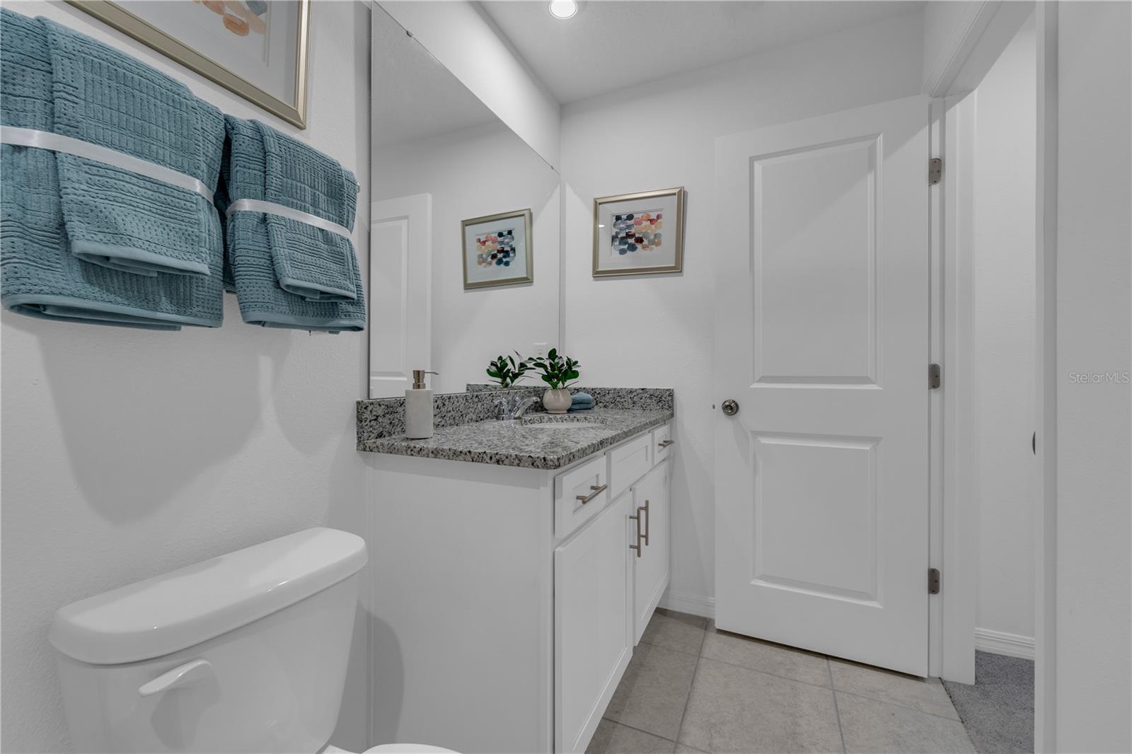 3020 JESSAMINE DR, TAVARES, FL — photo 28